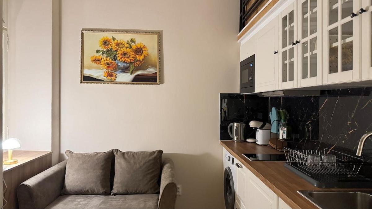 Apartment Newly Renovated In Wenceslas Square Prague