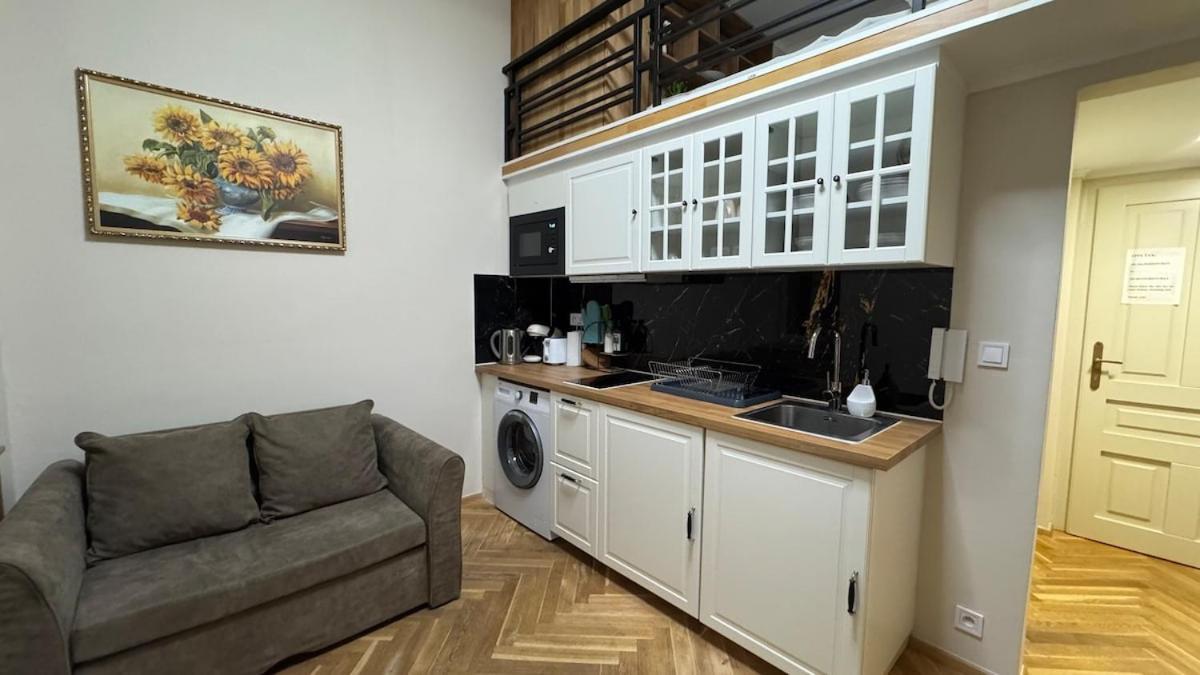 Apartment Newly Renovated In Wenceslas Square