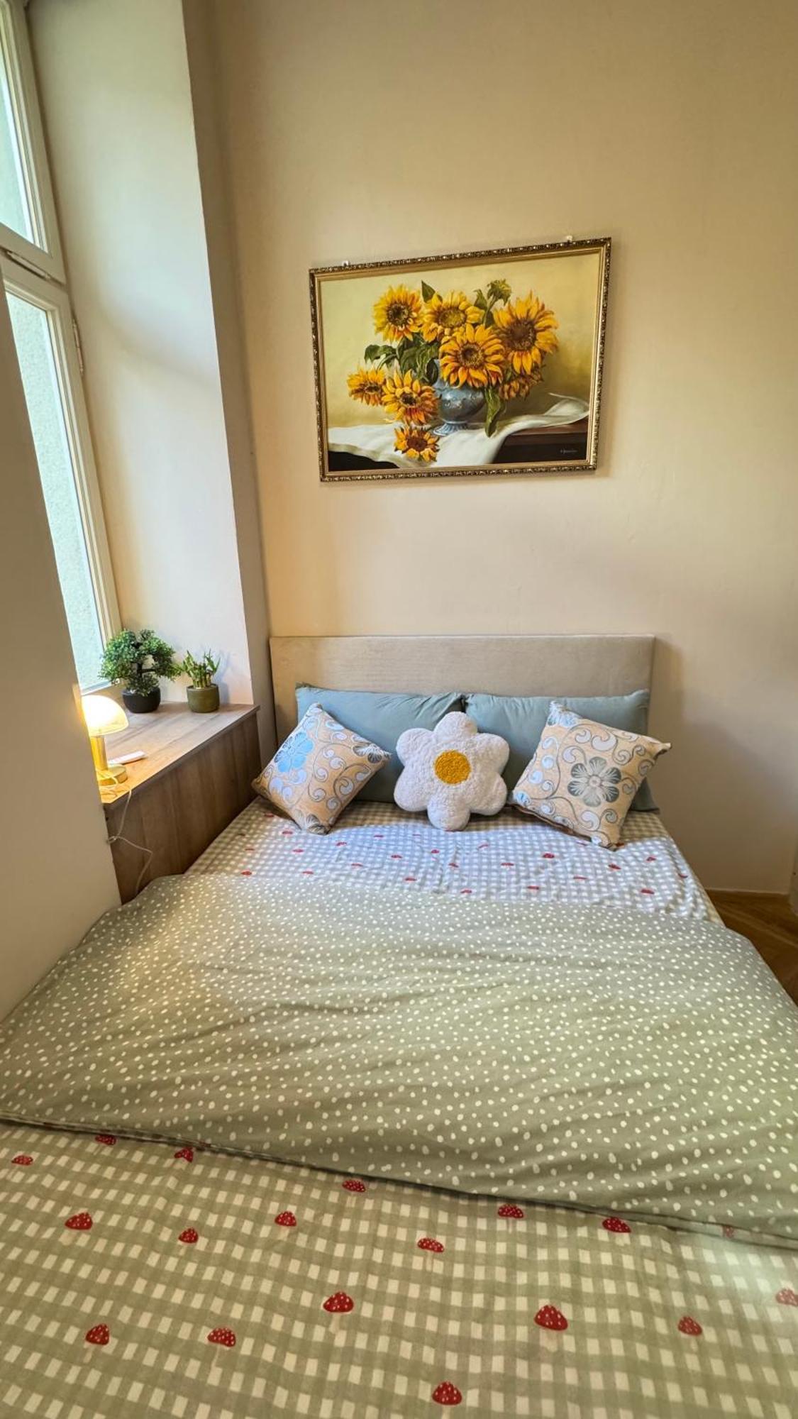 Apartment Newly Renovated In Wenceslas Square Prague