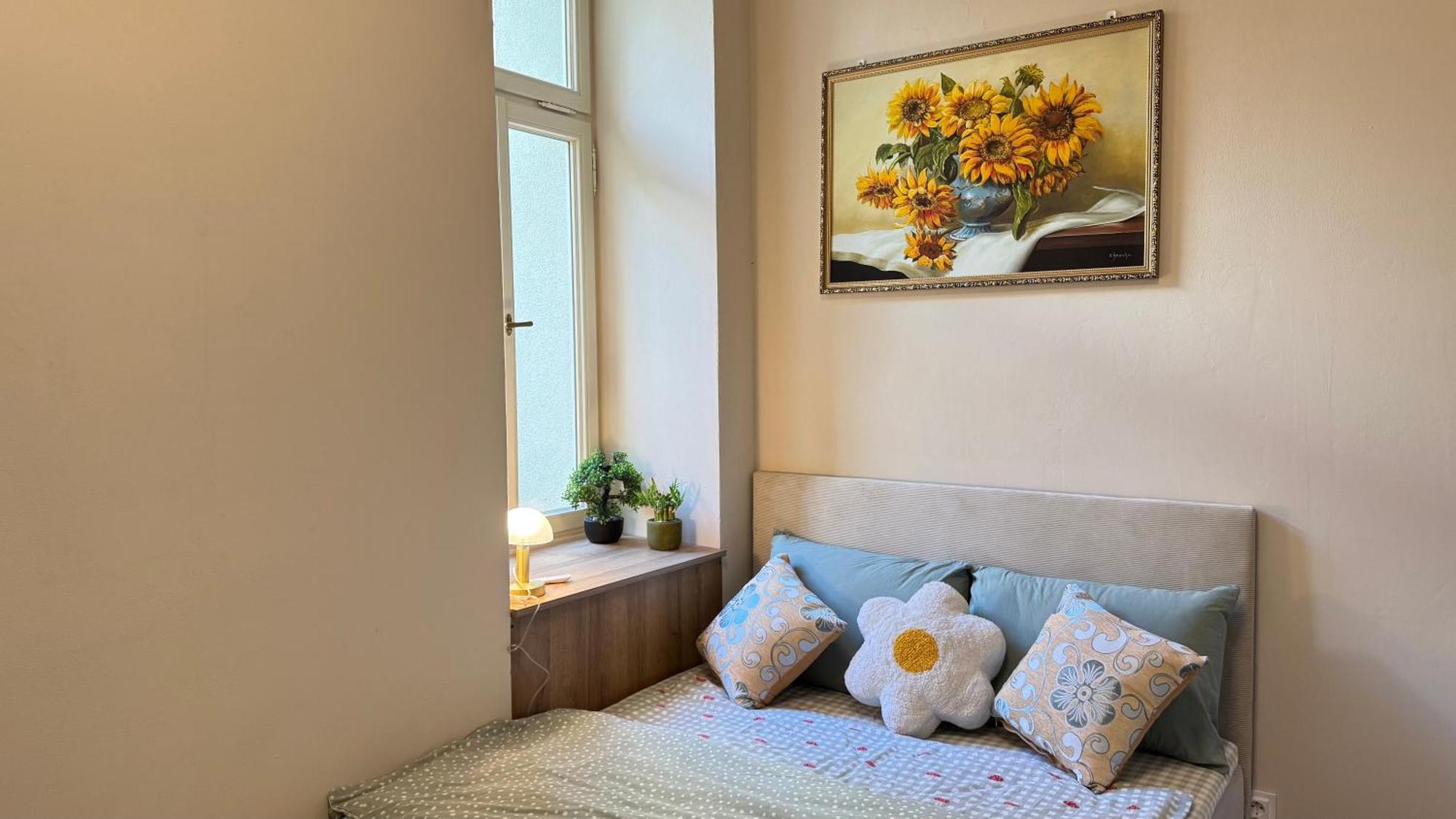 Newly Renovated In Wenceslas Square *